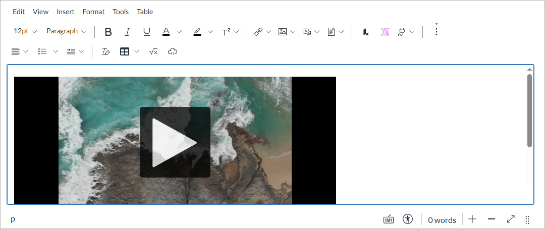 Canvas Rich Content Editor displaying the successfully embedded video player.